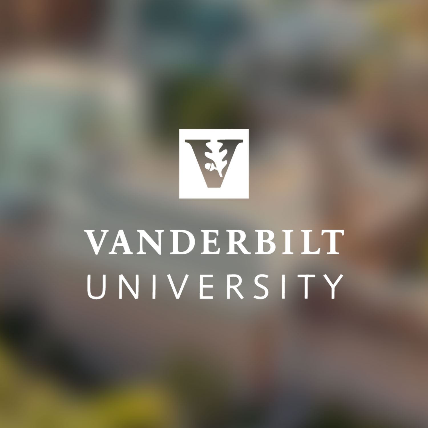 Vanderbilt logo